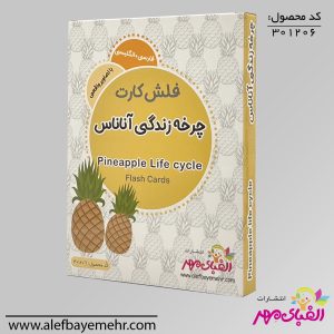 فلش کارت چرخه زندگی آناناس